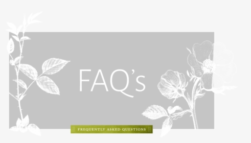 Faqs, HD Png Download, Free Download