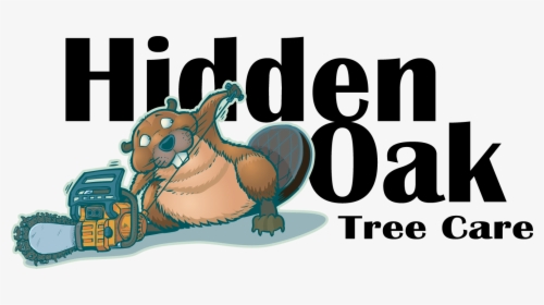 Hidden Oak Logo Only Black Text - Cartoon, HD Png Download, Free Download