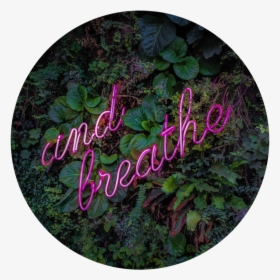 And Breathe - Calligraphy, HD Png Download, Free Download