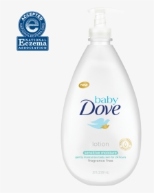 Dove, HD Png Download, Free Download