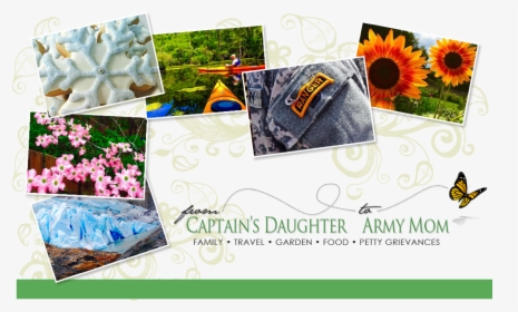 From Captain"s Daughter To Army Mom - Sunflower, HD Png Download, Free Download