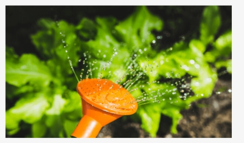 Plant A Garden - Pengaruh Air Ac Terhadap Tanaman, HD Png Download, Free Download