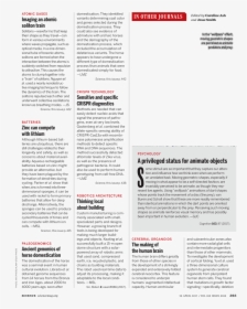 Document, HD Png Download, Free Download