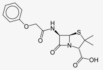 Penicillin V 2d Skeletal - Drugs Containing Heterocyclic Rings, HD Png Download, Free Download