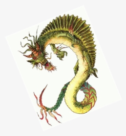Clip Image002 - Chinese Dragon, HD Png Download, Free Download