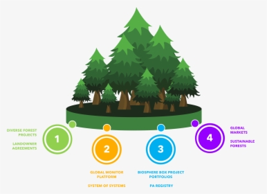 Forest Carbon Model Works, HD Png Download, Free Download