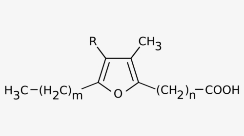 Diethylamine Lewis Structure, HD Png Download, Free Download