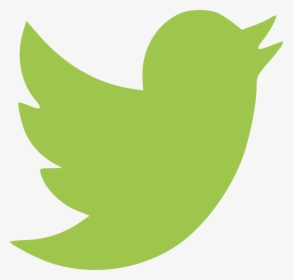 Twitter - Transparent Background Twitter Logo, HD Png Download, Free Download