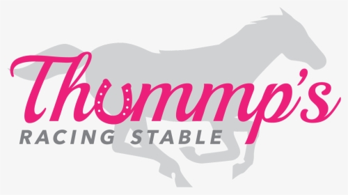 36171926 Thummpsracingstable Final - Graphic Design, HD Png Download, Free Download
