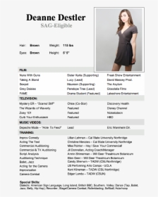 Example Resume For Cruise Ship, HD Png Download, Free Download