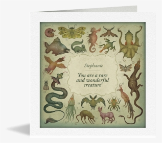 You Are A Wonderful Creature Card - Illustration, HD Png Download, Free Download