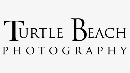 Turtle Beach Photography - Nido Montessori, HD Png Download, Free Download