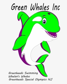 Greenheads Swimming, HD Png Download, Free Download