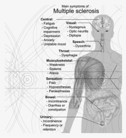 Showing Multiple Sclerosis, HD Png Download, Free Download