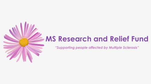 Image Is Not Available - Ms Research And Relief Fund, HD Png Download, Free Download