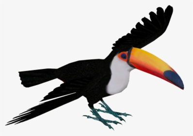 Toco Toucan - Toucan Png, Transparent Png, Free Download