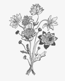 Bc Drawing - Buttercup, HD Png Download, Free Download