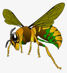 Clipart Hornet, HD Png Download, Free Download