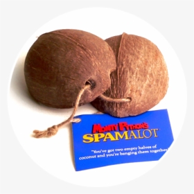 Spamalot Coconut Halves - Spamalot Coconuts, HD Png Download, Free Download
