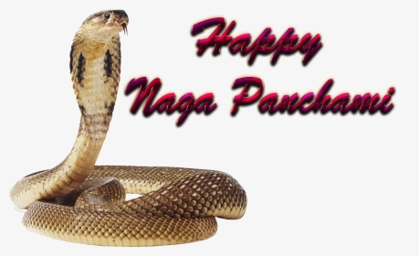 Naga Panchami Free Png - Nag Panchami Images Png, Transparent Png, Free Download