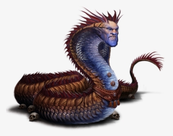Dragon, HD Png Download, Free Download