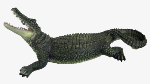 Crocodile Png, Transparent Png, Free Download