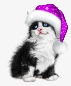 Transparent Christmas Cat Png - Kitten, Png Download, Free Download