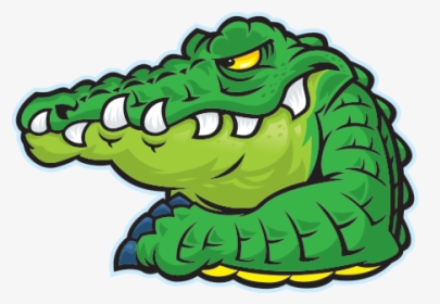 Alligator - Alligator Png Head Cartoon, Transparent Png, Free Download