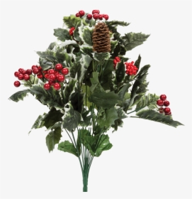 Holly Berry Bush Png, Transparent Png, Free Download
