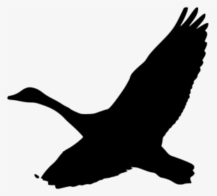 Clip Art Goose Silhouette, HD Png Download, Free Download