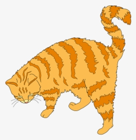 Cat Ginger Cat Cute Cat Free Picture - Ginger Tomcat Clipart, HD Png Download, Free Download