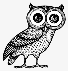 Barn-owl - Athena Owl Png, Transparent Png, Free Download