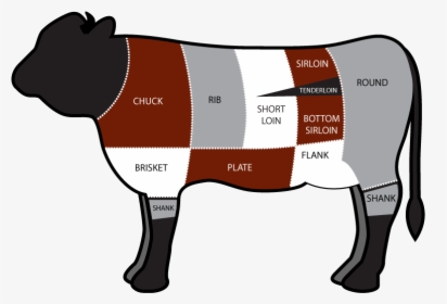 Tacos Clipart Cow - Osso Buco On Cow, HD Png Download, Free Download