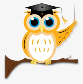 Transparent Png Owl - Owl Graduation Transparent Png, Png Download, Free Download
