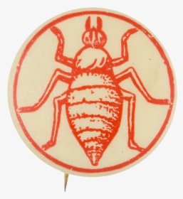 Military Order Of The Cootie Club Button Museum - Beetle, HD Png Download, Free Download