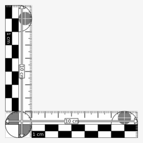 Evidence Ruler, HD Png Download, Free Download