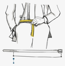 The Measurement Of Your Waist Corresponds To The Length - Cartoon, HD Png Download, Free Download