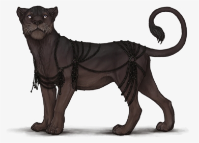 Lioden Kind Pose, HD Png Download, Free Download