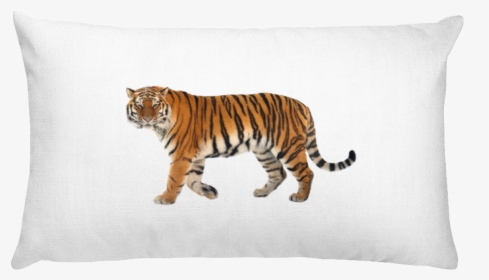 "  Class="lazyload Lazyload Mirage Cloudzoom Featured - Pillow, HD Png Download, Free Download