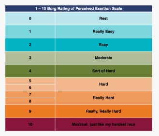 Borg Scale Of Exertion, HD Png Download, Free Download