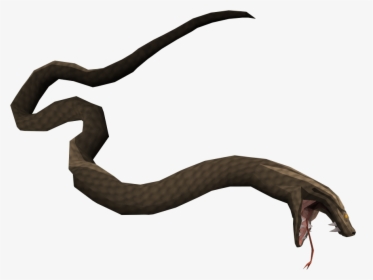 The Runescape Wiki - Swamp Snake Png, Transparent Png, Free Download