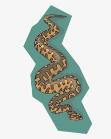 Transparent Snake Vector Png - พื้น หลัง สัตว์ เลื้อยคลาน, Png Download, Free Download