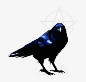 American Crow, HD Png Download, Free Download
