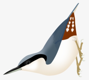 Giganta Png, Transparent Png, Free Download