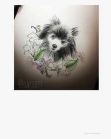 Custom Dog Watercolor Portrait - Chinese Crested Dog, HD Png Download, Free Download