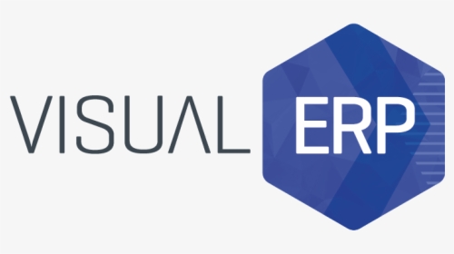 Visual Next Erp Software For Fashion Business - Visual Erp Logo, HD Png Download, Free Download