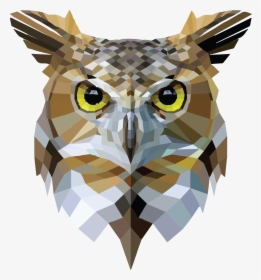 Nimaeru"s Avatar - Low Poly Art Owl, HD Png Download, Free Download