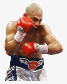 Miguel Cotto Png, Transparent Png, Free Download