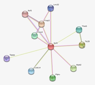 Ikzf2 Protein, HD Png Download, Free Download
