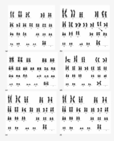 Number, HD Png Download, Free Download